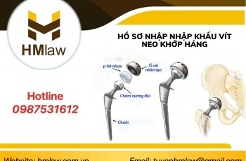 HỒ SƠ NHẬP NHẬP KHẨU VÍT NEO KHỚP HÁNG