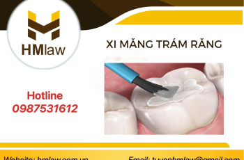 THỦ TỤC NHẬP KHẨU XI MĂNG TRÁM RĂNG