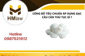 CÔNG BỐ TIÊU CHUẨN ÁP DỤNG GẠC CẦU CẦN THỦ TỤC GÌ  ?